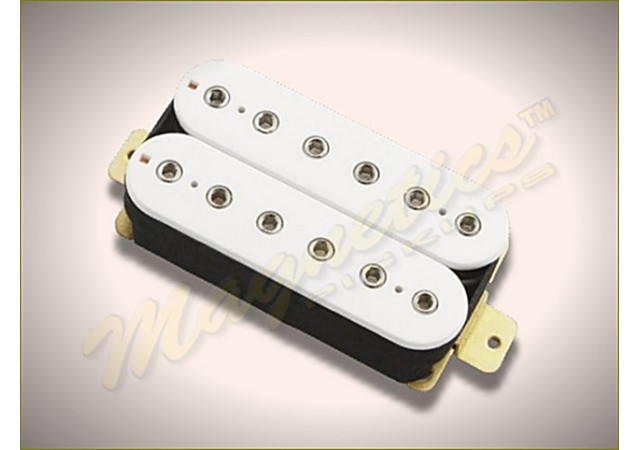 Magnetics™ H6 Spc5 C P B