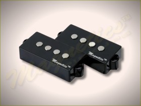 Magnetics™ PPRV Plus