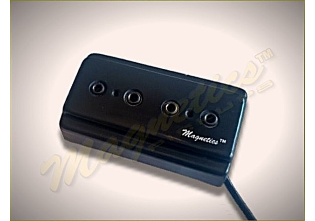 Magnetics™ RIP04A