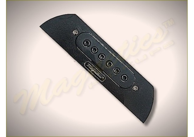 Magnetics™ SRS01 NP